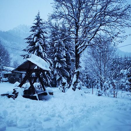 Cabana Valea Rea, Boga Boga  ภายนอก รูปภาพ