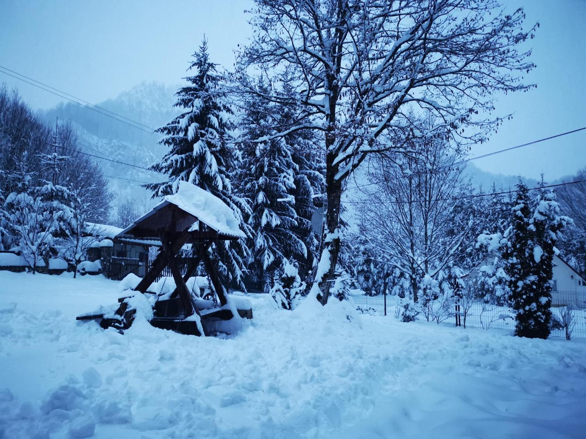 Cabana Valea Rea, Boga Boga  ภายนอก รูปภาพ