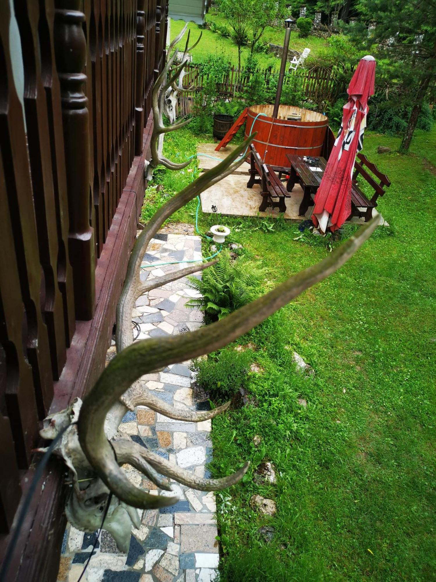 Cabana Valea Rea, Boga Boga  ภายนอก รูปภาพ